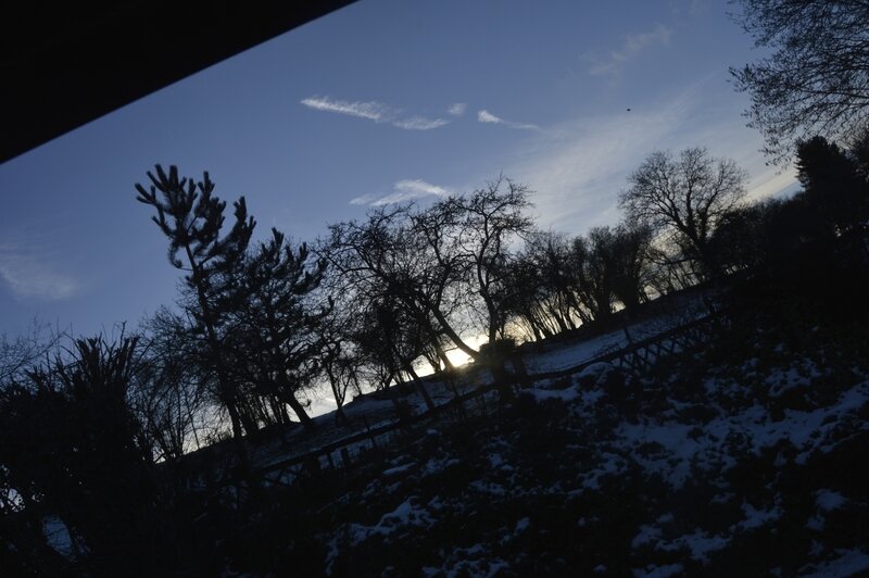 _DSC0040