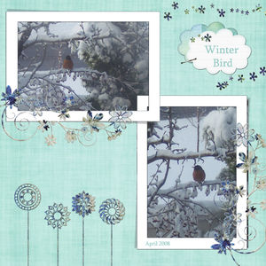 winterbird_500
