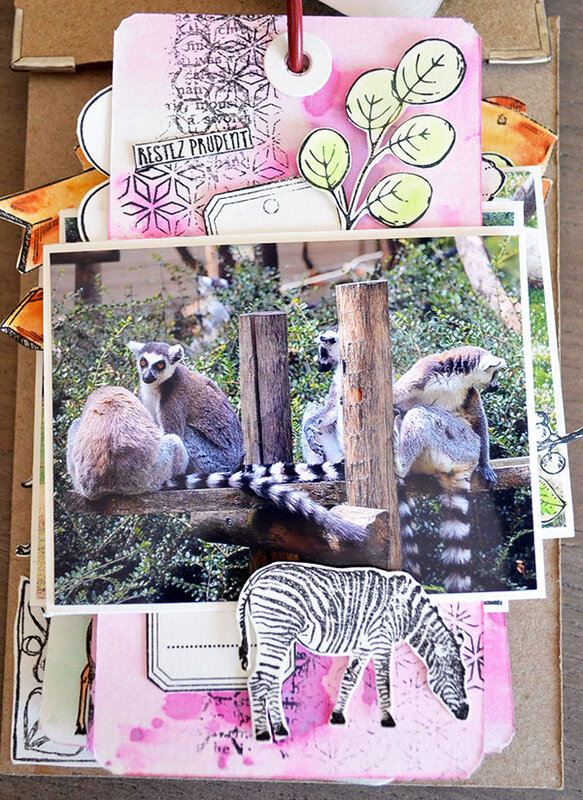 blogorel album zoo loreeduscrap6