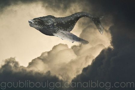 baleine-nuage
