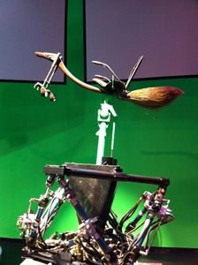 IMG_3289
