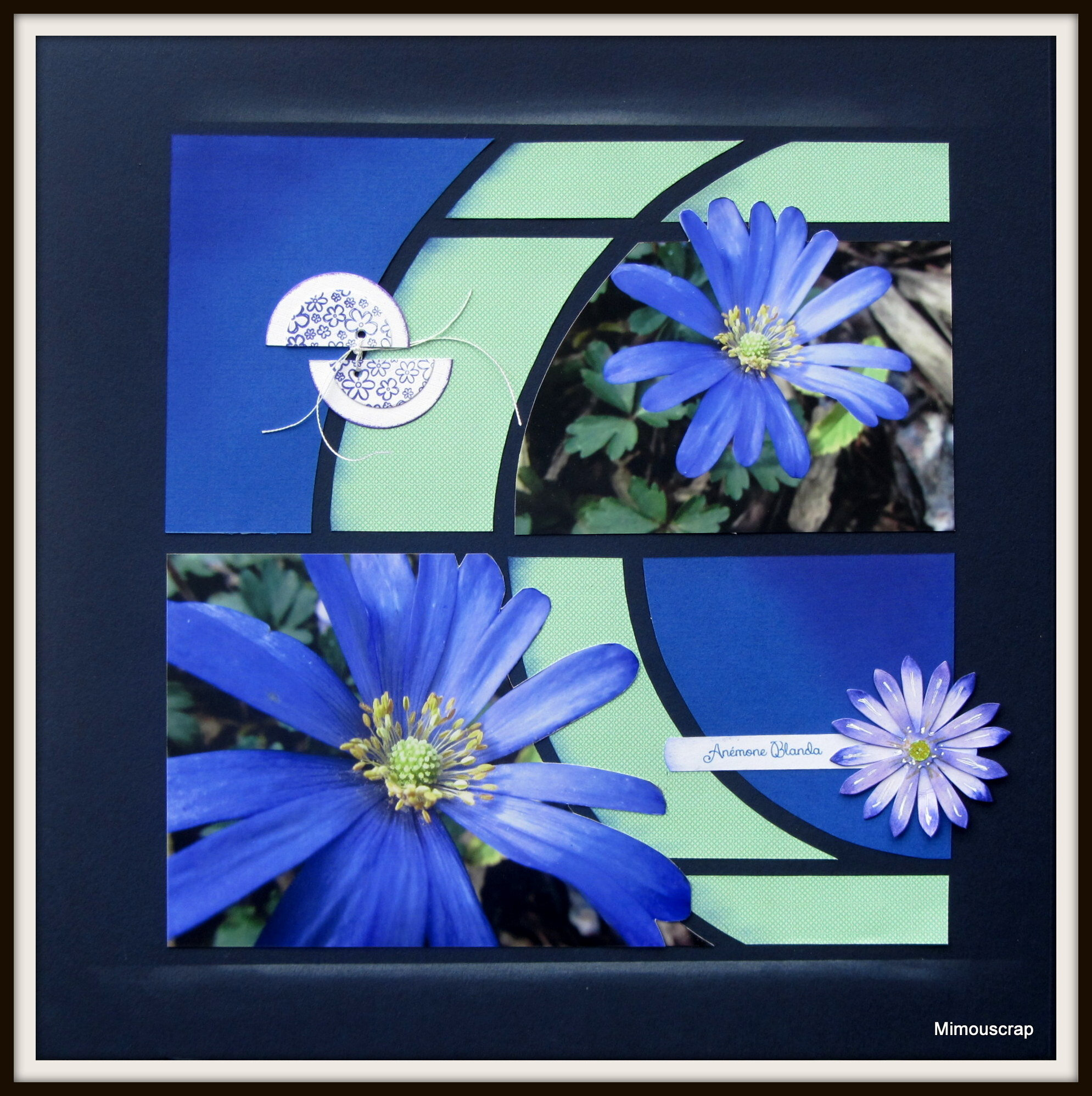 Jardin 2016 001