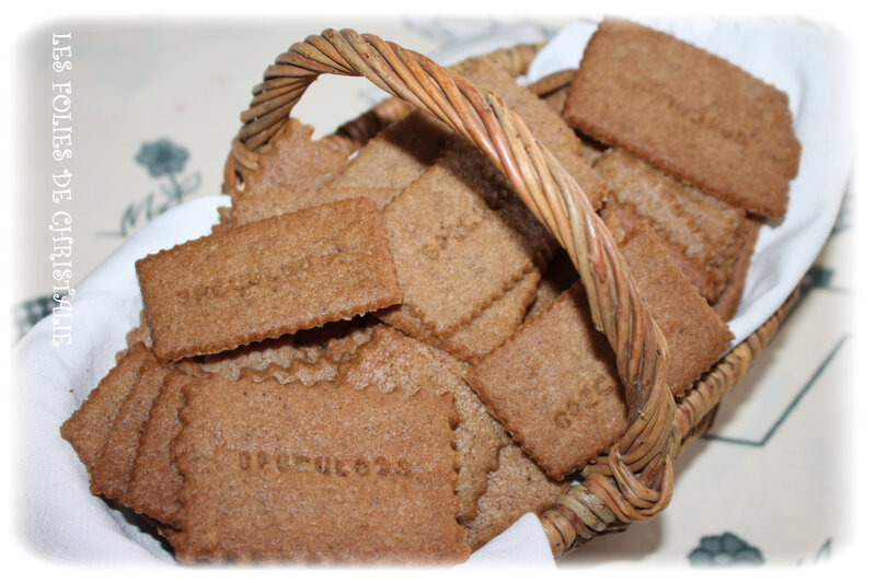 Spéculoos 7