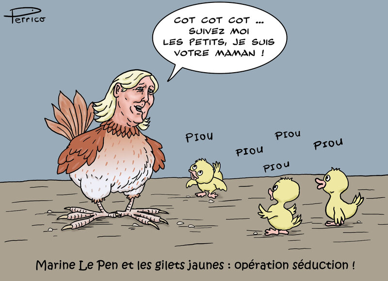 Marine Le Pen et les gilets jaunes 20 janv
