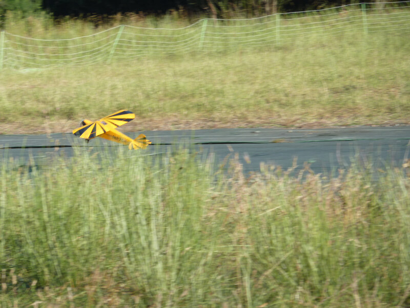 P1070139