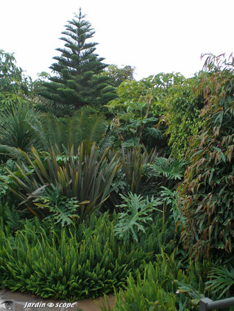 8895_Jardin_de_l_h_tel