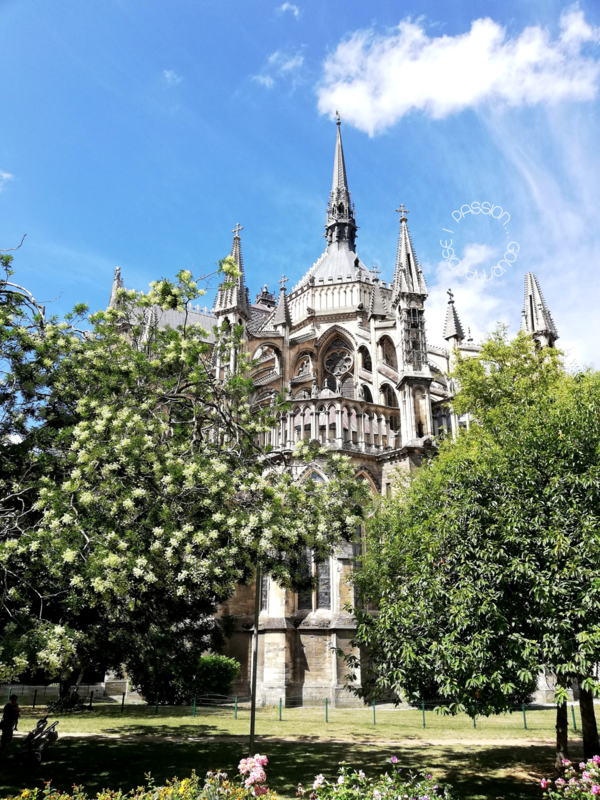 Reims 2020_Cathédrale_8