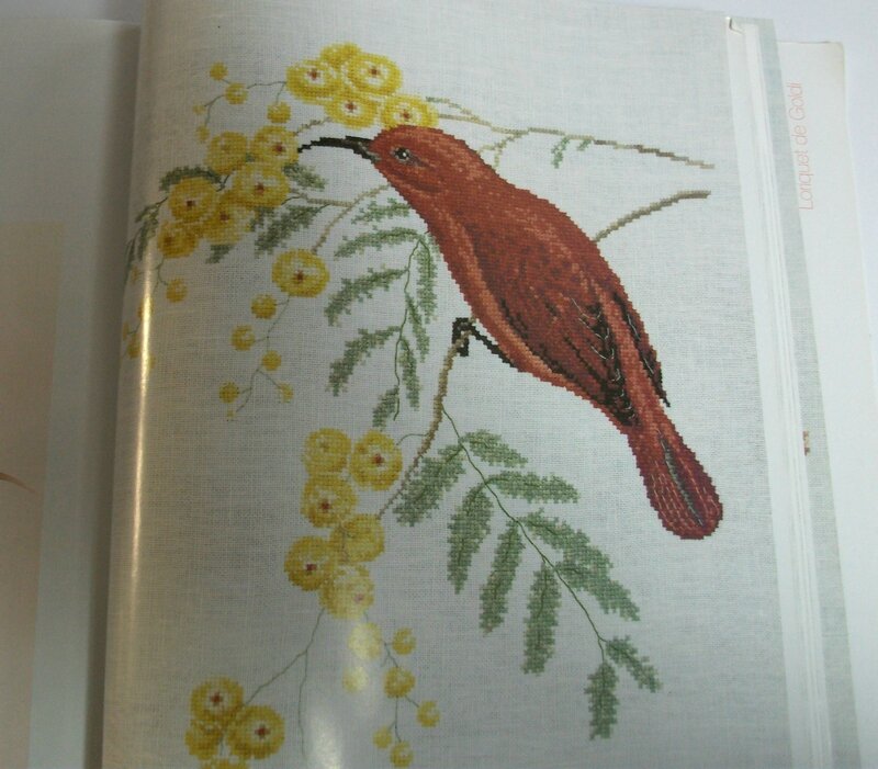 le modèle oiseau sur le livre