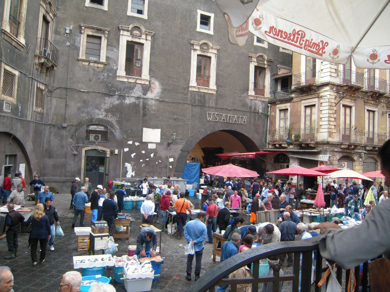 DSCN4565