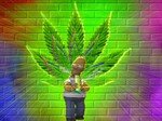 homer_marihuana