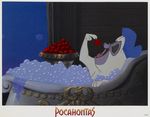 pocahontas_photo_d_exploitation_us_03