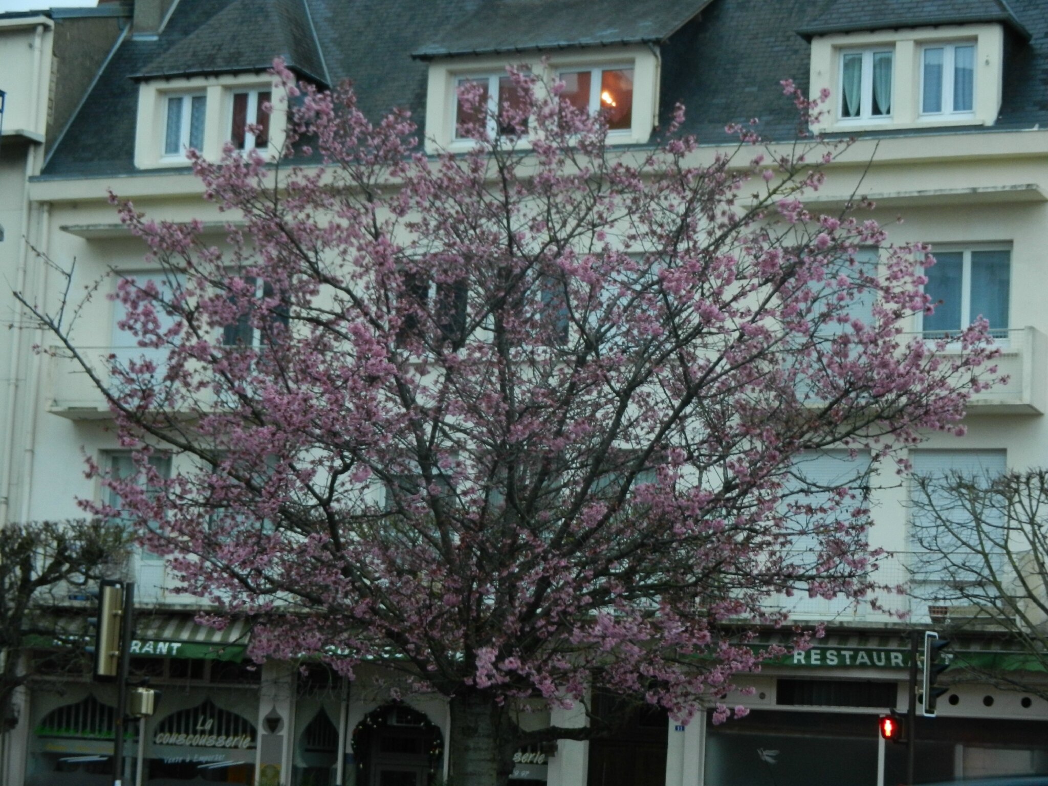 20-13 février 2016