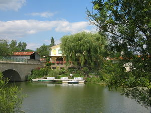 Balade_aux_marais_Poitevin_jusqu___Damvix_017