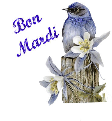 BON_MARDI_oiseau_bleu