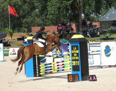 2011 S26 semaine du cheval Rabat