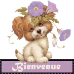 bienvenue_chien