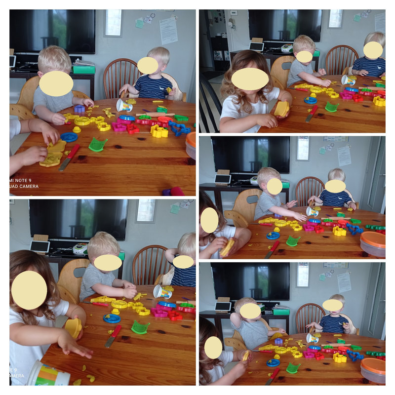 IMG_20210706_103017-COLLAGE