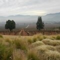 Vins chiliens (1) : <b>Chili</b> con vallées 