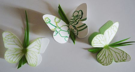 papillons