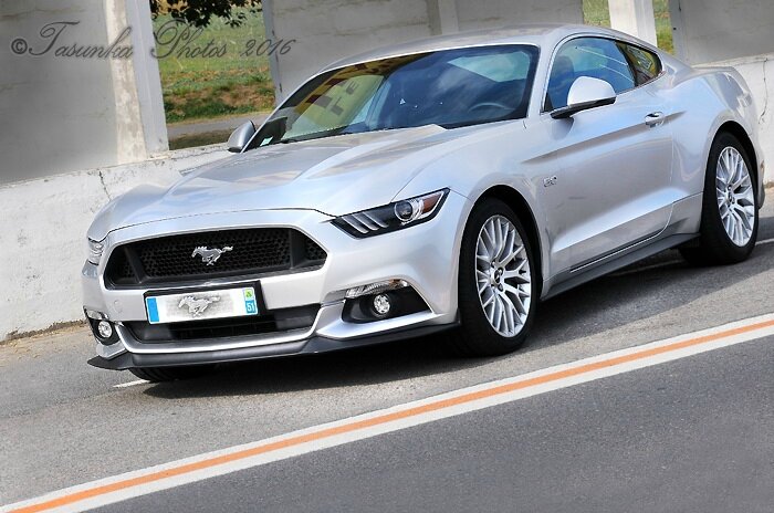 MustangV8_copyrightTasunkaphotos2016_01