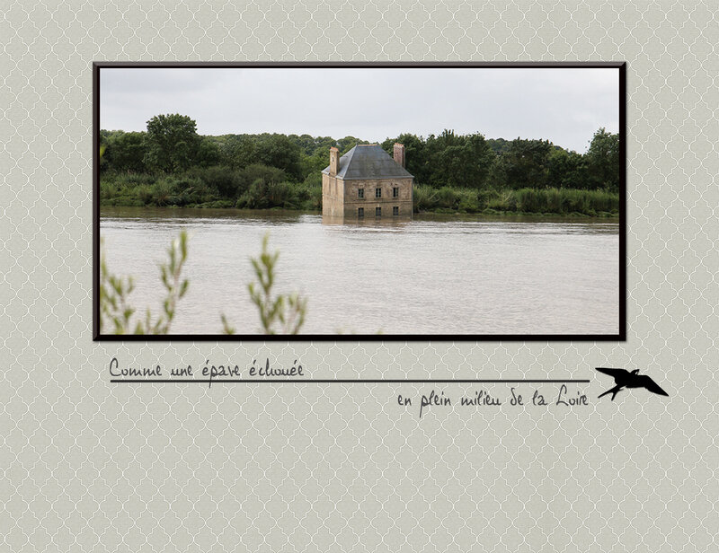 Couëron - la maison dans la Loire_avdesigns--