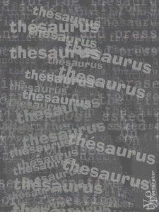 thesaurus02