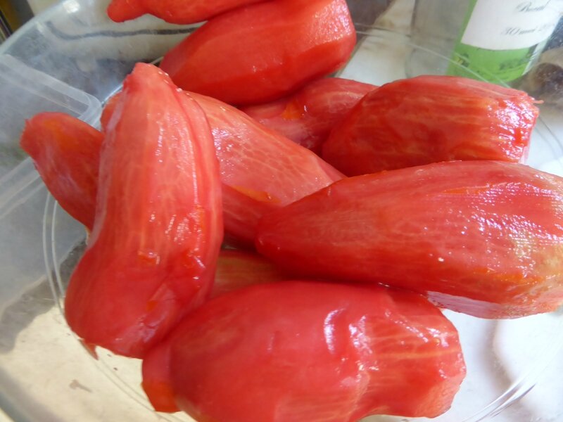 8-tomates séchées (2)