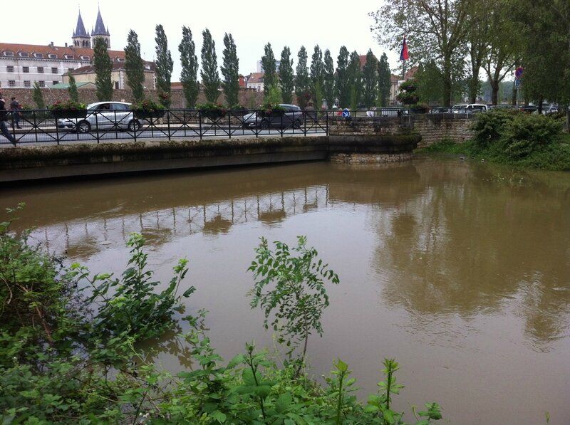 Confluence de l'Almont et la Seine