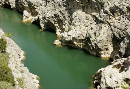 blog canicule miroir vert