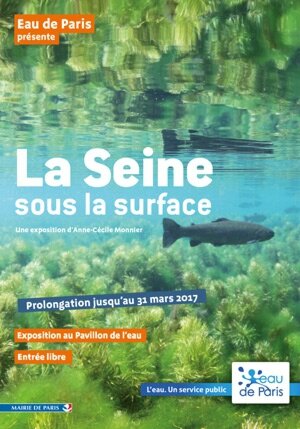 La Seine sous la surface