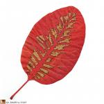 Feuille du Cotinus