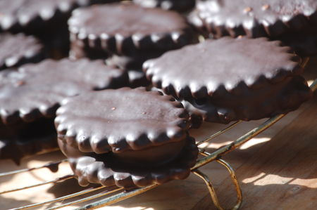 PETITS BISCUITS CHOCOLAT/GUIMAUVE recettes dessert PETITS BISCUITS CHOCOLAT/GUIMAUVE