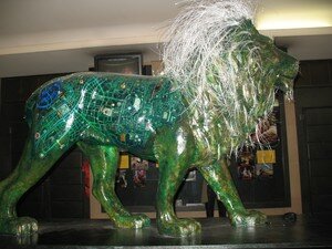 Lions_27_04_08_027