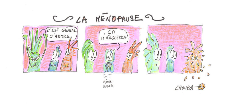 la-ménopause-couleur-blog