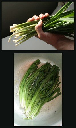 gratin_crozet_1
