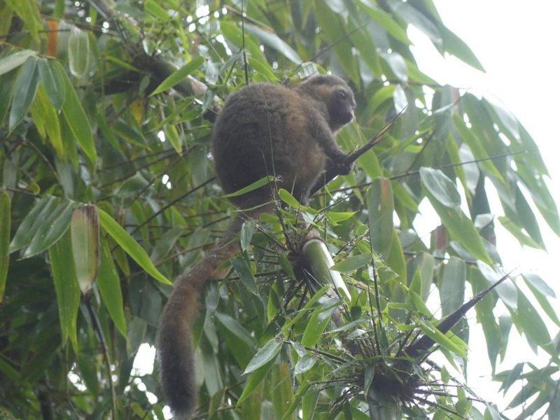 P1230396