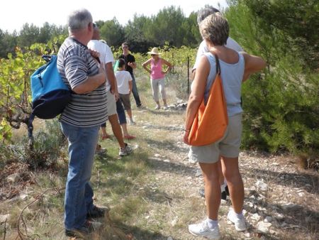 sortie_garrigues_basses_26_sept_2009_003
