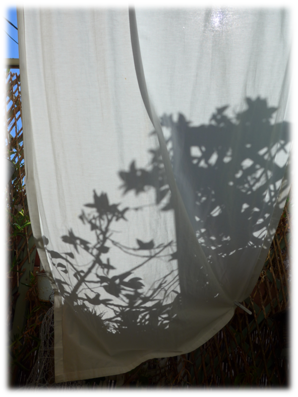 ombre sur le rideau
