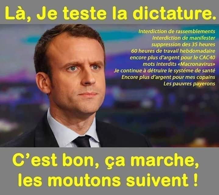 WhatsApp-Image-2020-05-16-at-13