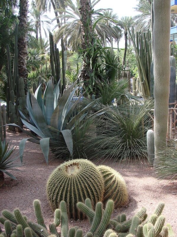 Les Jardins de Majorel (12)
