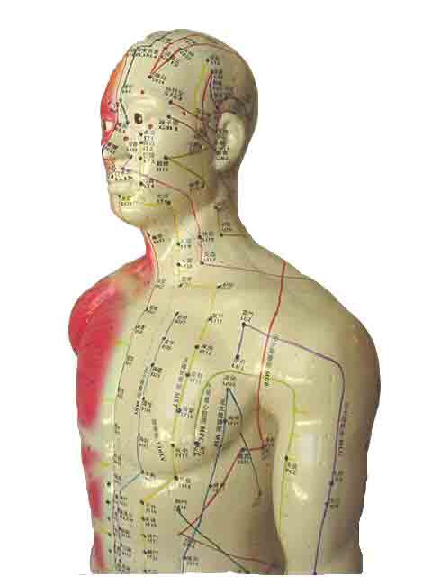 dna-acupuncture