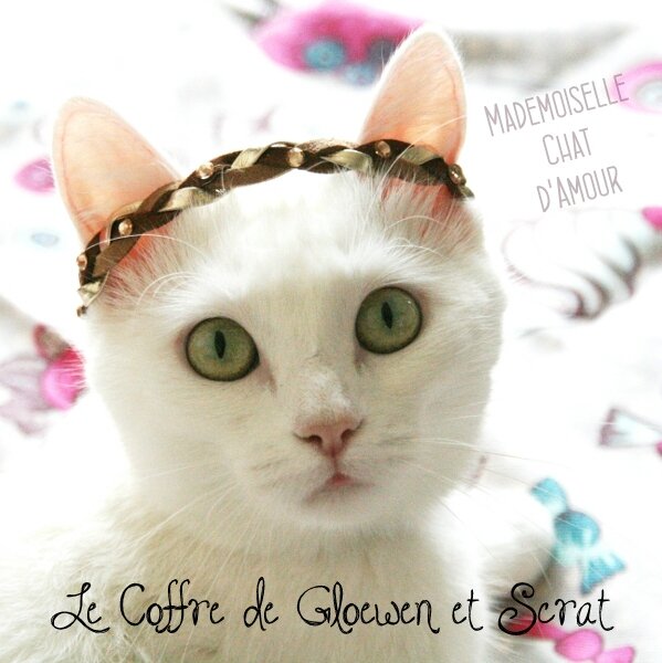 Mademoiselle Chat doudi douda