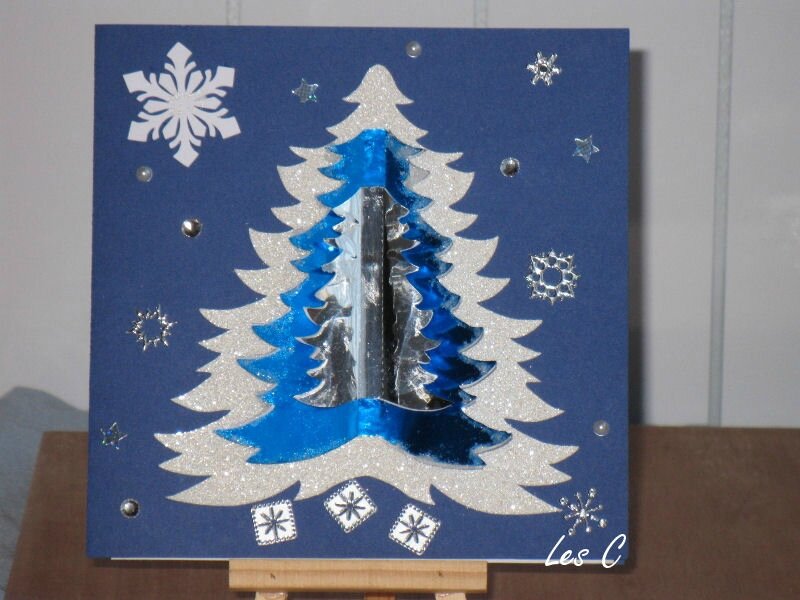 sapin2 (800x600)