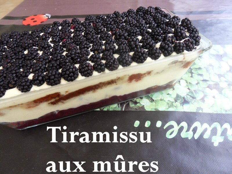 tiramissu aux mures1