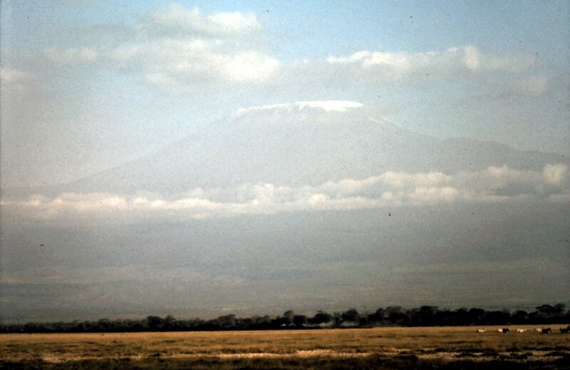 amboseli paysage x kili
