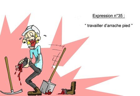 expression_n_35_bis