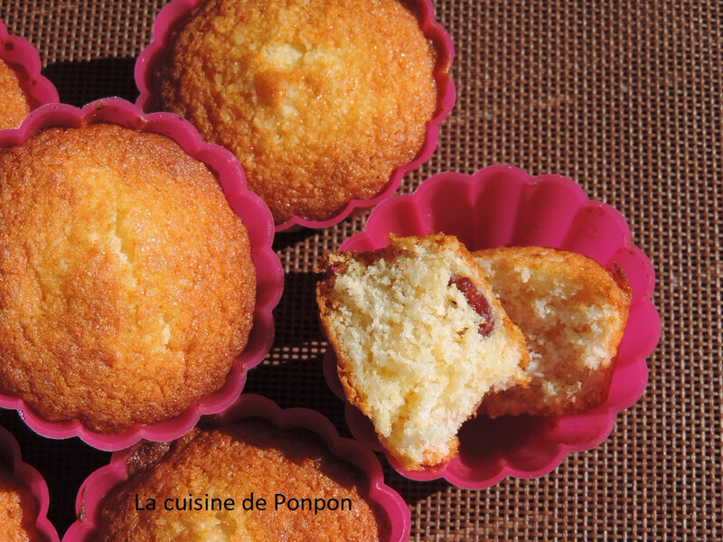 muffin noix de coco et cranberries (12)