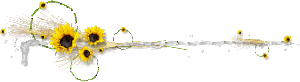 Gif barre fine composition fleurs jaunes a gauche 320 pixels