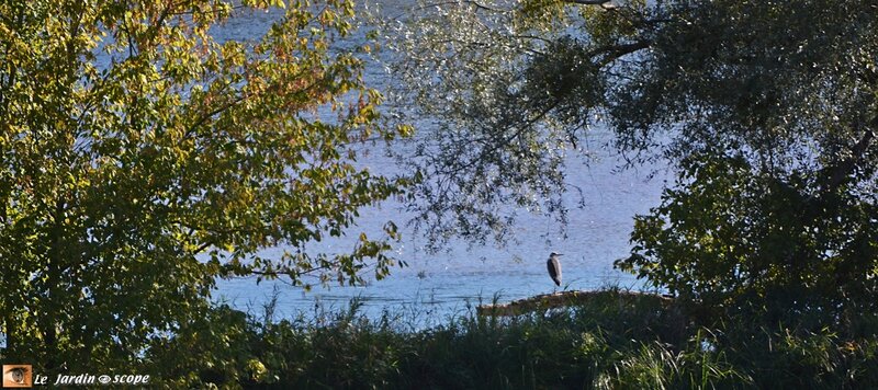 Reflet-de-Loire-en-automne-3