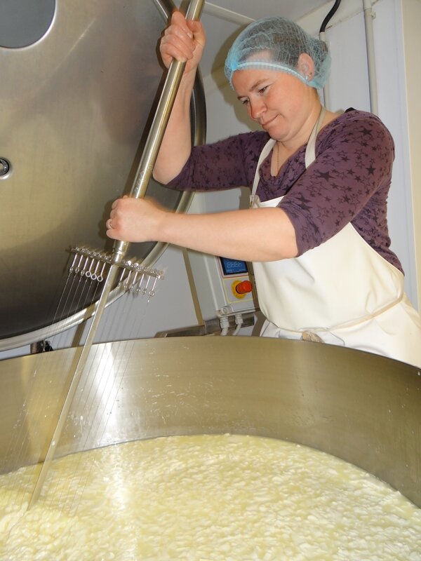 Le caillé, une des étapes de la fabrication du fromage